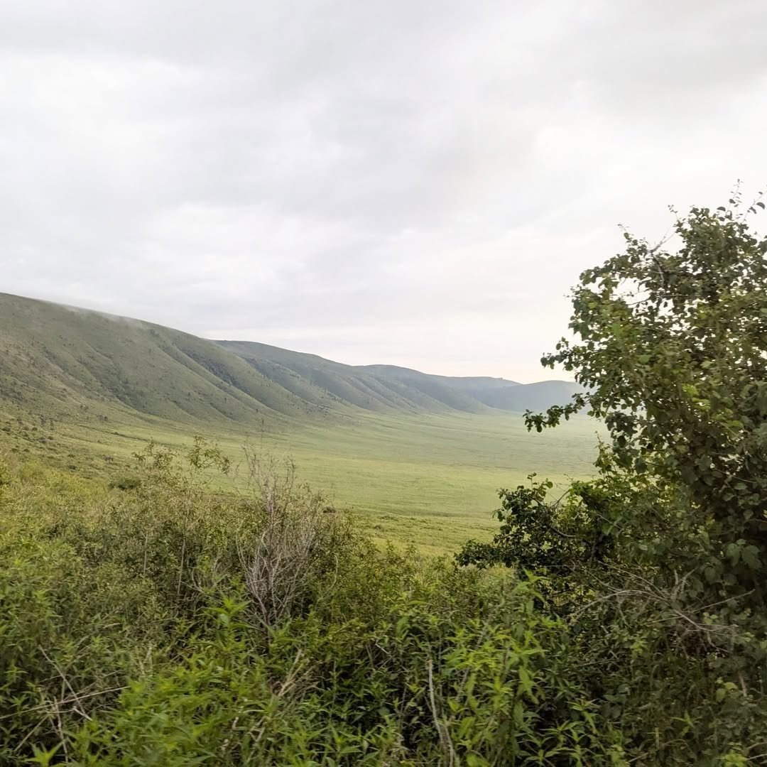 2-Day Lake Manyara & Ngorongoro Crater - Image 3