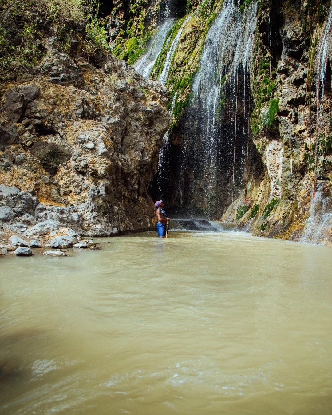 7-Day Tarangire, Lake Natron & Ngorongoro Crater - Image 4