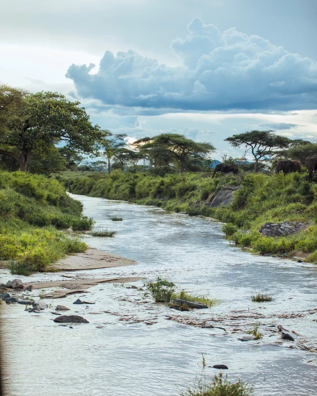 7-Day Tarangire, Lake Natron & Ngorongoro Crater - Image 5