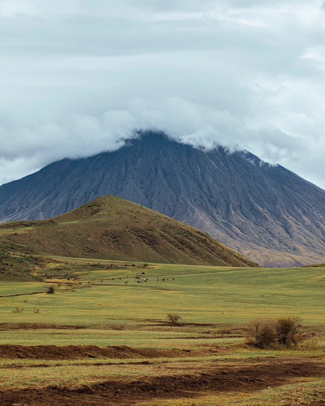 7-Day Tarangire, Lake Natron & Ngorongoro Crater - Image 8