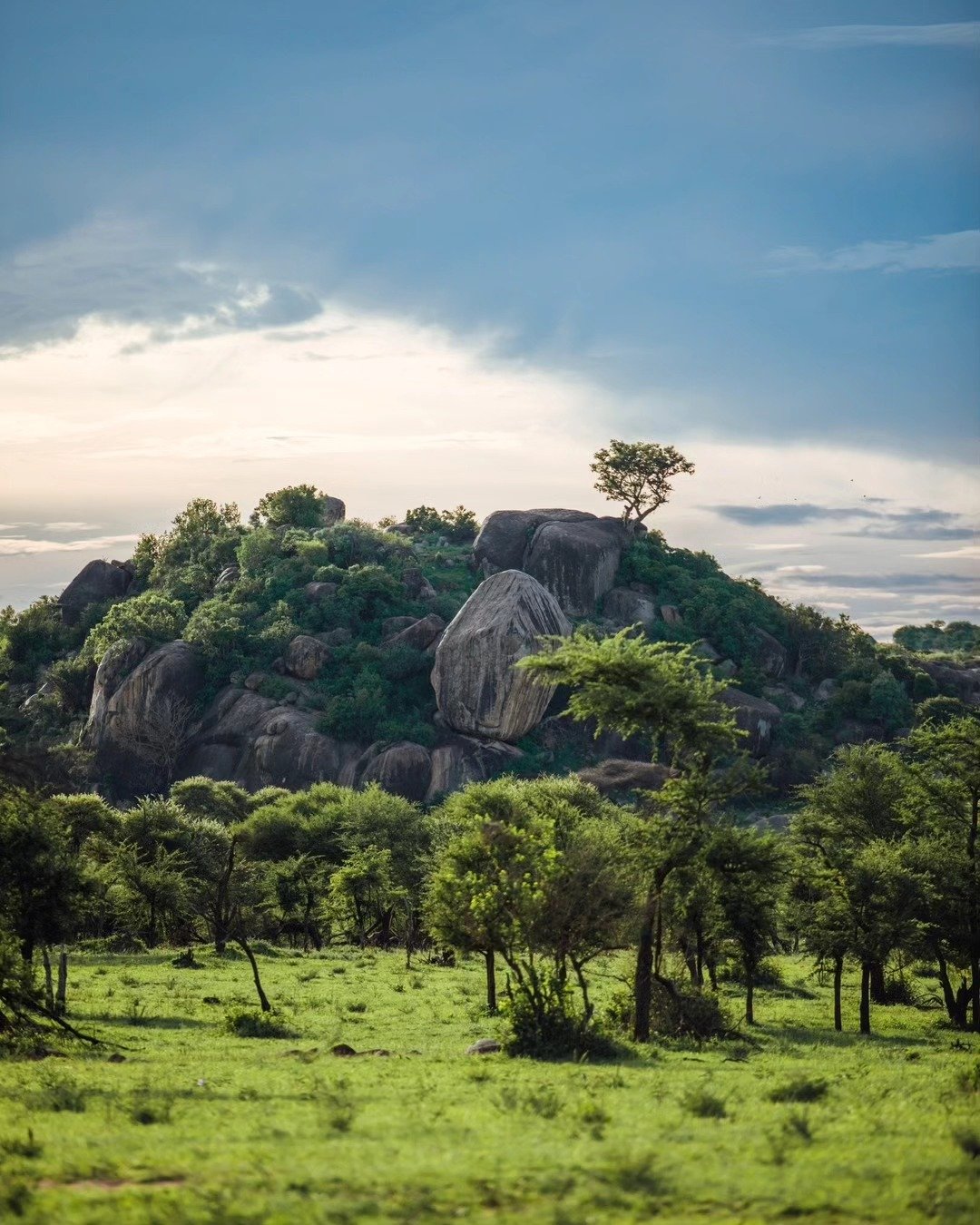 7-Day Tarangire, Lake Natron & Ngorongoro Crater - Image 9