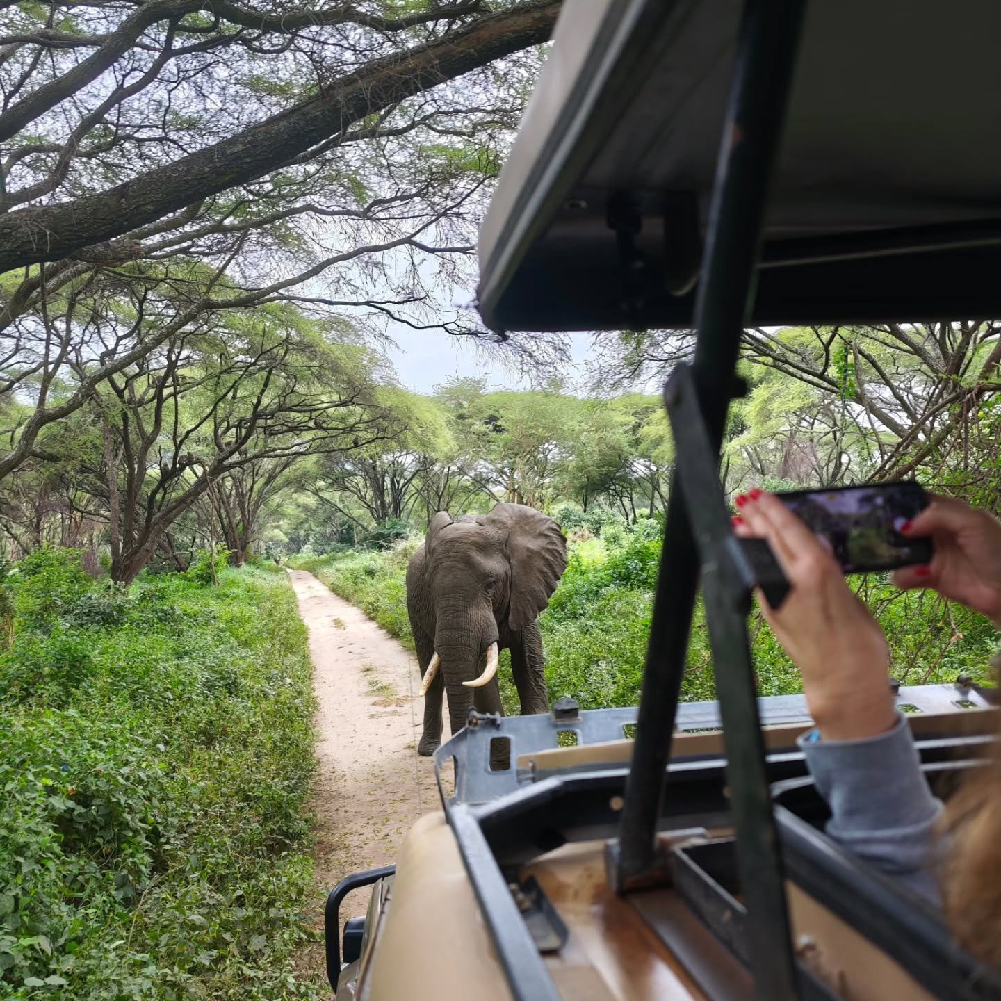 4-Day Tarangire & Lake Manyara — photo 2
