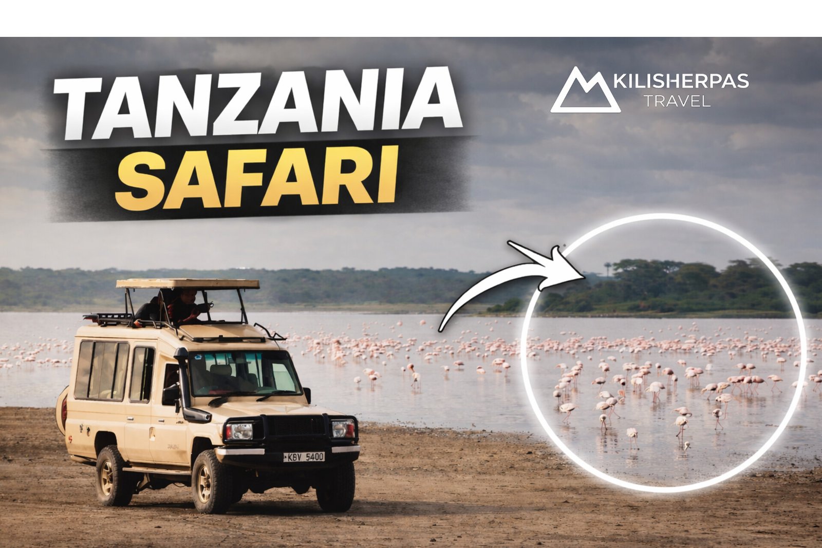 Tanzania Safari | Serengeti, Lake Manyara, Ngorongoro Crater & Tarangire